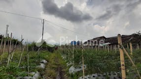 Dijual Tanah Residensial Lokasi Strategis Dekat Alun-alun di Cikole Lembang - Gambar 5