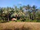 Dijual Tanah Residensial Lokasi Bagus Dekat Pantai di Pangandaran - Thumbnail 1