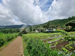 Dijual Tanah Residensial Sangat Cocok Untuk Investasi Dekat Taman Tugu Gunung Putri di Jl. Gunung Putri - Gambar 5