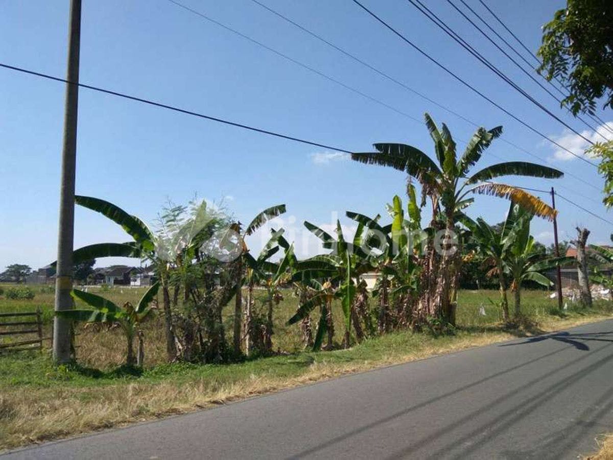 Dijual Tanah Residensial Sangat Cocok Untuk Investasi di Perum Cahaya Regency, Jalan Dr. Supomo - Gambar 1