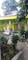 Dijual Rumah Lingkungan Asri di Bandung Kidul, Bandung - Thumbnail 1
