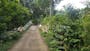 Dijual Tanah Residensial Tanah Kebun Murah Lokasi Bagus di Padasuka - Thumbnail 3