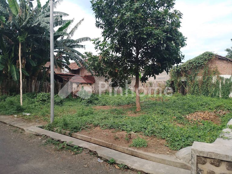 Dijual Tanah Komersial Lokasi Strategis Dekat Area Umum di Jalan Desa Sumberkolak - Gambar 2