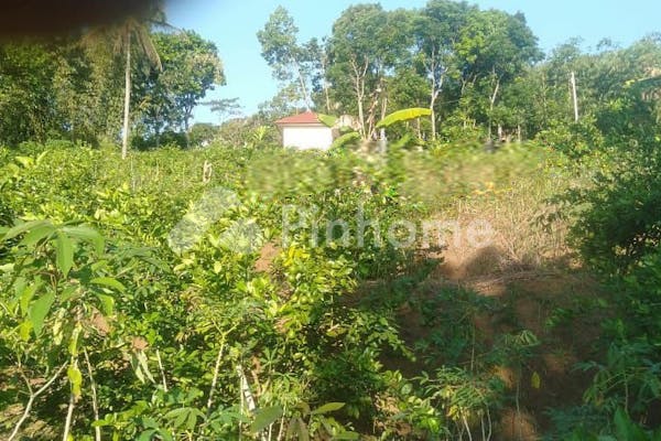 dijual tanah komersial murah produktif kebun jeruk di malangbong garut - 1