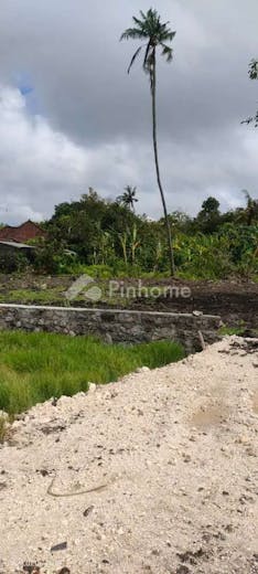 dijual tanah komersial lokasi bagus dekat fins beach di gg  manggo berawa - 4