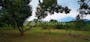 Dijual Tanah Komersial Lokasi Bagus di Desa Cibadak Kecamatan Tanjungsari - Thumbnail 2