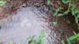 Dijual Tanah Komersial Ada Sumber Airnya, Murah Bgt di Cilengkrang - Thumbnail 5
