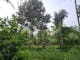Dijual Tanah Komersial Lingkungan Asri View Jungle di Tegallalang - Thumbnail 7