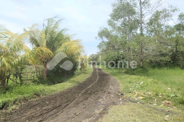 dijual tanah komersial 1 8 hektare untuk tambak di tuwed melaya jembrana bali - 5