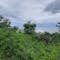 Dijual Tanah Residensial Sangat Cocok Untuk Investasi di Nusa Penida (Nusapenida) - Thumbnail 2
