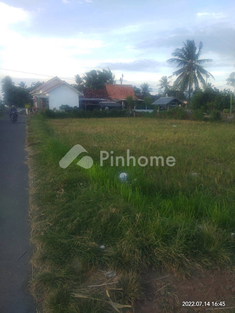 Dijual Tanah Komersial Lokasi Bagus Dekat Pantai di Jalan Tanjung Kamal Mangaran Situbondo - Gambar 4