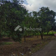 Dijual Tanah Residensial Sangat Cocok Untuk Investasi di Jl. Desa Wanakaya - Gambar 2