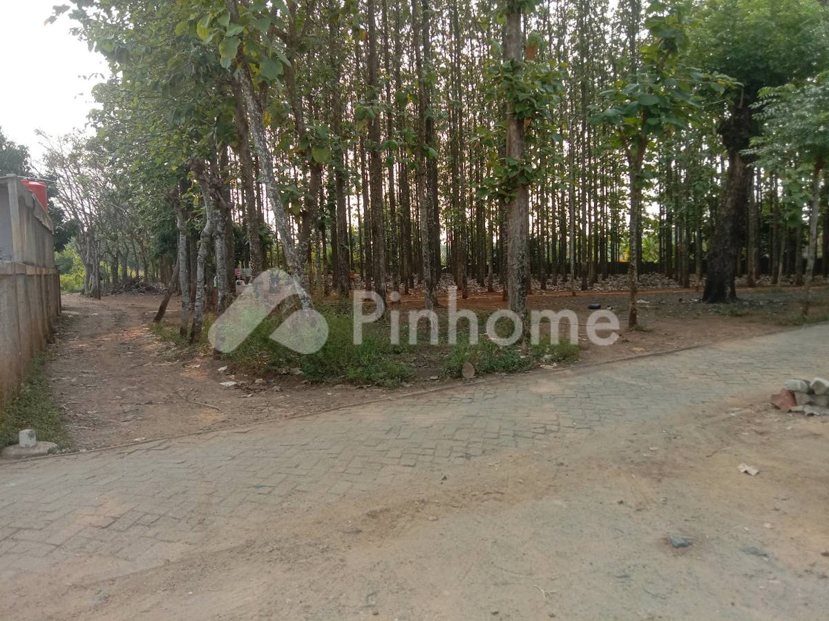 Dijual Tanah Residensial Berisi Pohon Jati Cocok Untuk Investasi di Puri Bukt Depok - Gambar 1