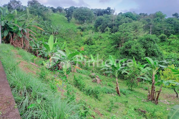 dijual tanah komersial 29700m2 di kabupaten gowa desa lonjoboko - 3
