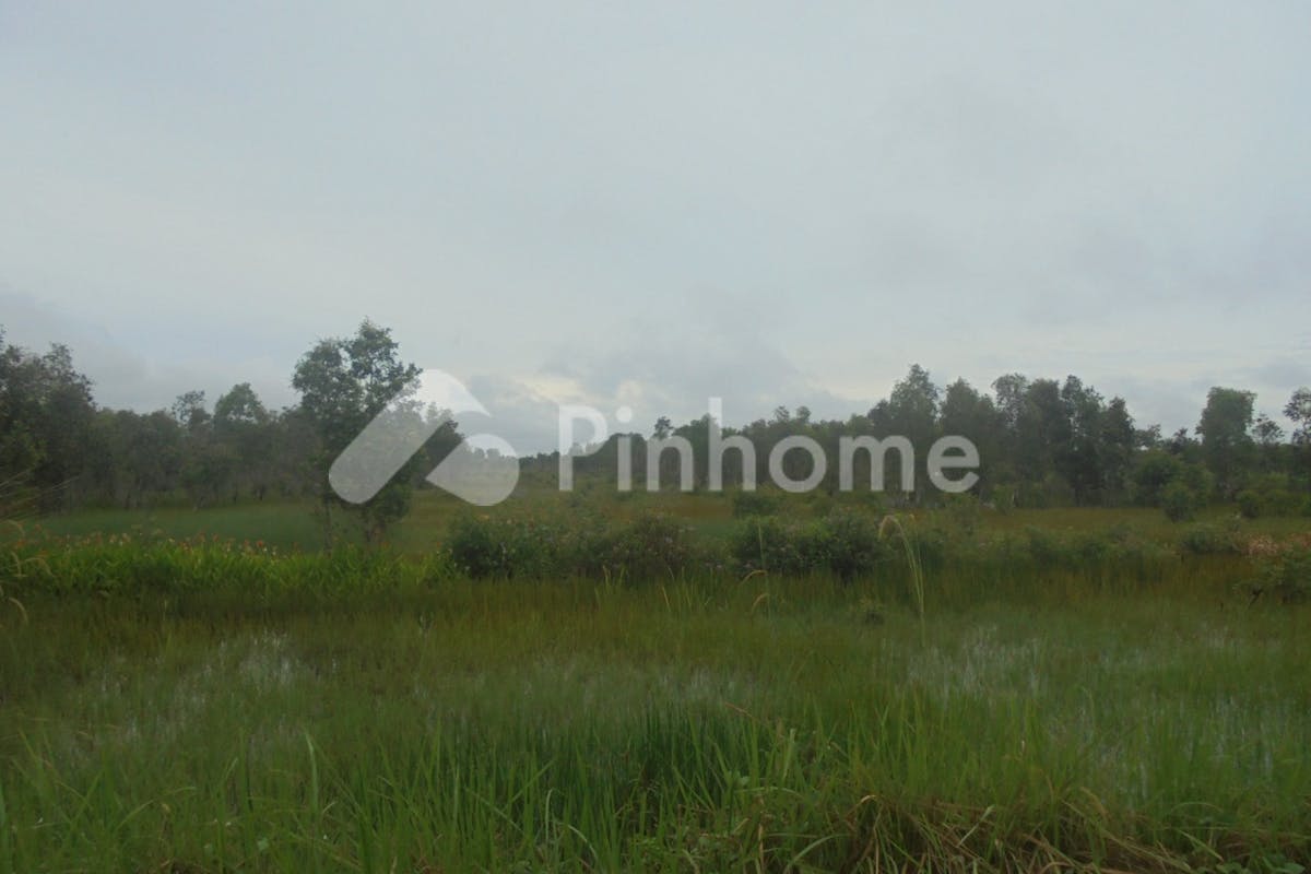 similar property dijual tanah residensial dikelapa dua wetan ciracas di kelapa dua wetan ciracas jakarta timur - 2