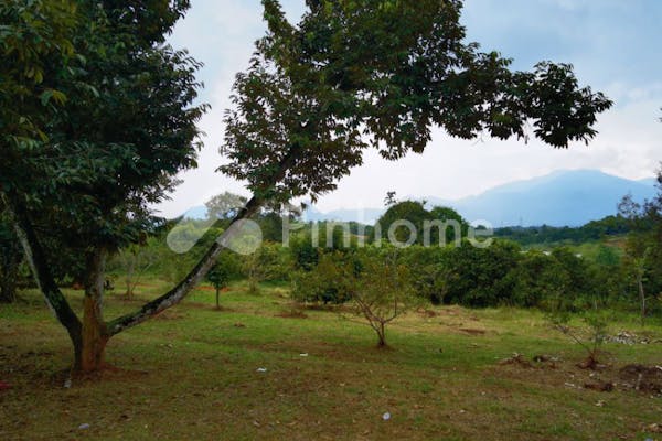 dijual tanah komersial kebun buah taman alam harmoni di desa cibadak kecamatan tanjungsari - 4
