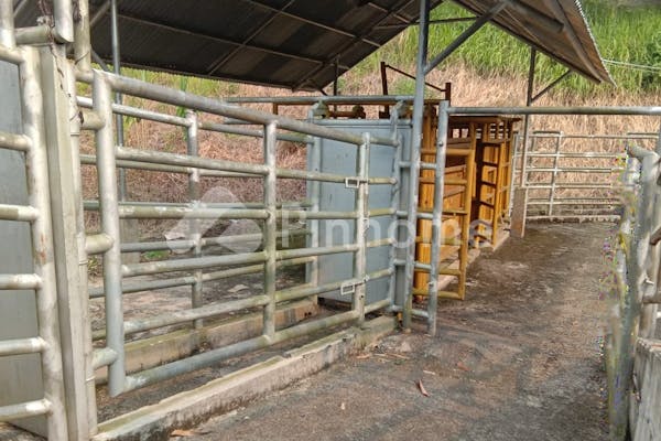 dijual tanah komersial kandang sapi di desa curug  kec  jasinga - 7