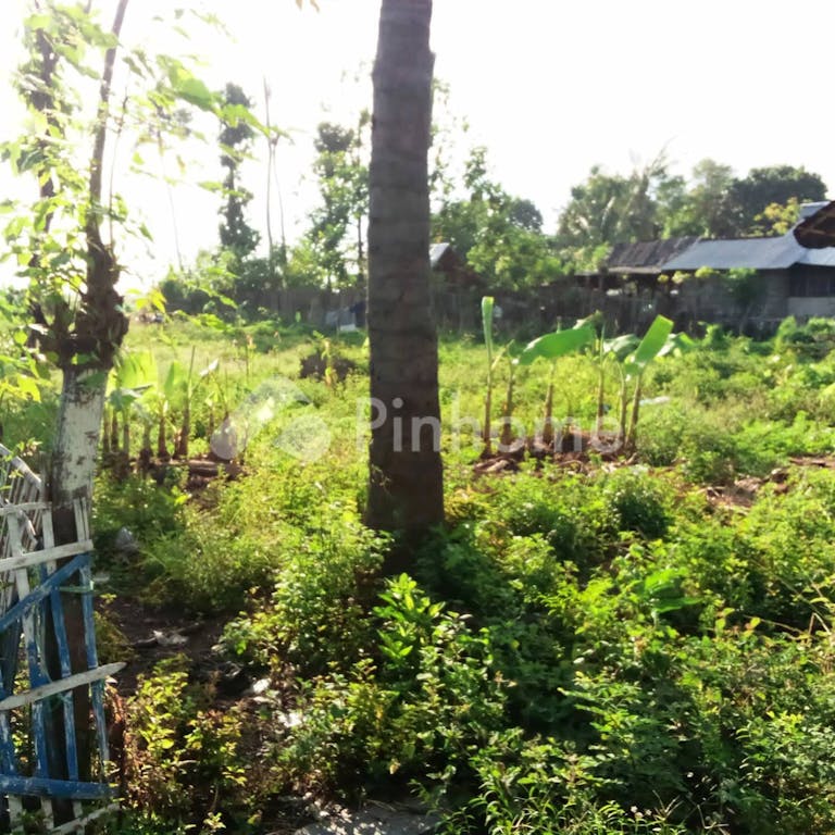 Dijual Tanah Komersial Lokasi Bagus Pinggir Jalan di Tanjung Kamal Mangaran Situbondo - Gambar 5