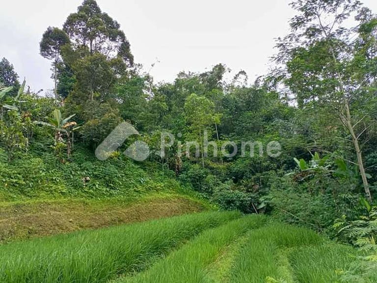 Dijual Tanah Komersial Lokasi Bagus Dekat Batukaru di Jatiluwih - Gambar 3