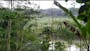 Dijual Tanah Residensial Lokasi Bagus Dekat Borobudur di Bumiharjo - Thumbnail 3