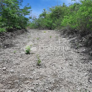 Dijual Tanah Komersial Lokasi Strategis di Nusa Penida (Nusapenida) - Gambar 2