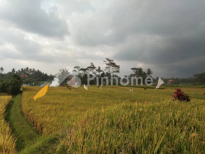 dijual tanah komersial lokasi bagus di jl  raya pejeng kaja - 11