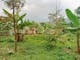Dijual Tanah Komersial Lokasi Bagus Dekat Wisata di Penanggungan - Thumbnail 3