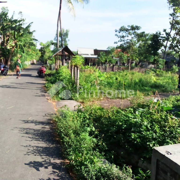 Dijual Tanah Komersial Lokasi Bagus Pinggir Jalan di Tanjung Kamal Mangaran Situbondo - Gambar 3