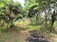 Dijual Tanah Komersial Lingkungan Nyaman Dekat Perbelanjaan di Cipadung Mainroad Cibiru - Thumbnail 4
