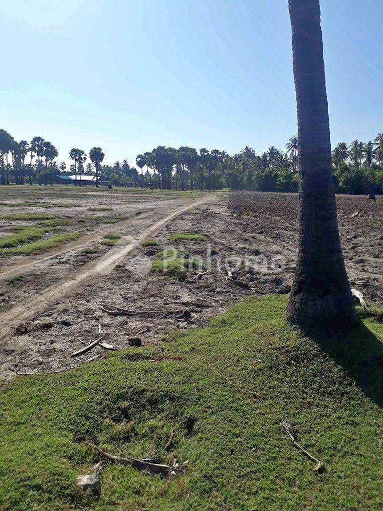 Dijual Tanah Komersial Sangat Cocok Untuk Investasi Dekat Pantai di Jl. Pantai Sumberkima - Gambar 2