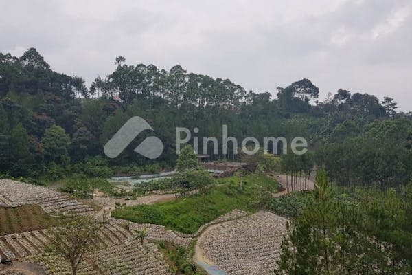 dijual tanah komersial lingkungan nyaman di ex wisata kampung gajah di cihideung - 4