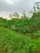 Dijual Tanah Komersial Lokasi Bagus Dekat Tol di Cikarageman - Thumbnail 3