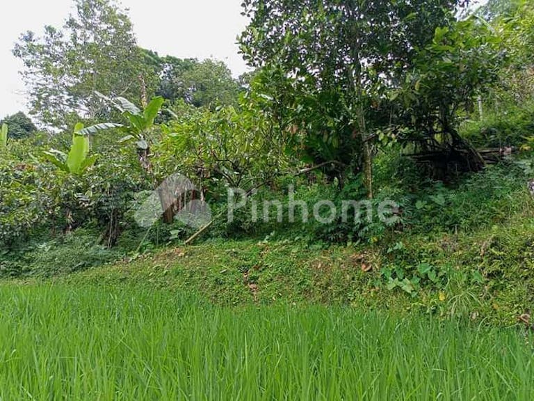 Dijual Tanah Komersial Lokasi Bagus Dekat Batukaru di Jatiluwih - Gambar 4