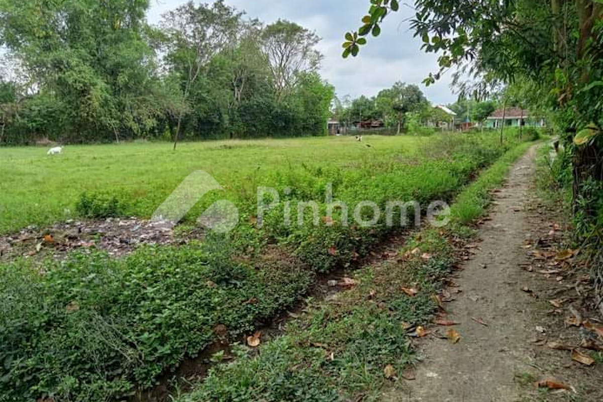 similar property dijual tanah residensial dekat suramadu lokasi bagus di jl  raya patemon - 2