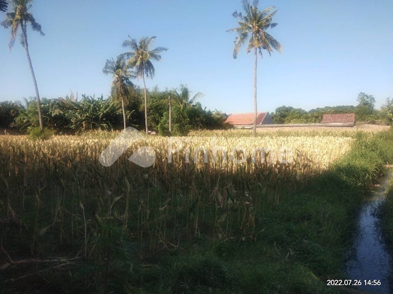 Dijual Tanah Komersial Sawah Produktif Dalam Kota Lokasi Strategis di Mimbaan - Gambar 2