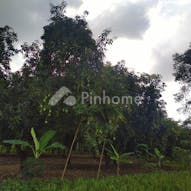 Dijual Tanah Residensial Sangat Cocok Untuk Investasi di Jl. Desa Wanakaya - Gambar 5