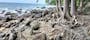 Dijual Tanah Residensial Lokasi Bagus Dekat Pantai di Iboih - Thumbnail 3