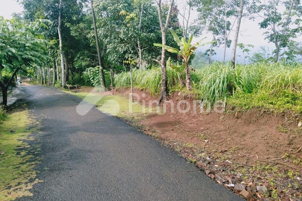 dijual tanah komersial perkebunan karet di wanareja - 2