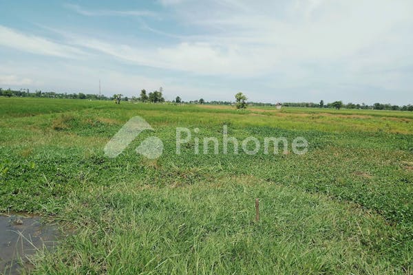 dijual tanah komersial sawah produktif murah di jalan mangaran situbondo - 2