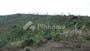 Dijual Tanah Komersial Lokasi Bagus Daerah Ciletuh Geopark di Jl. Cimarinjung - Thumbnail 5