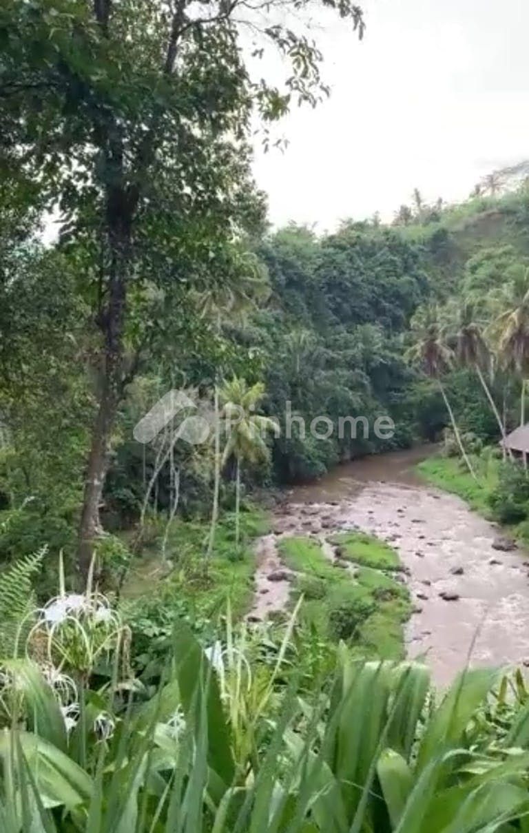 Dijual Tanah Komersial Tanah Los Tebing Sungai Ayung di Jalan Kedewatan - Gambar 4