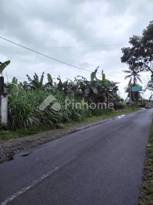 dijual tanah komersial lokasi strategis dekat pusat kota di jalan kaliwanglu - 3