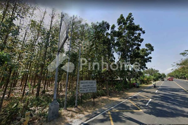 dijual tanah komersial full pohon jati di pinggir jalan provinsi tuban - 2