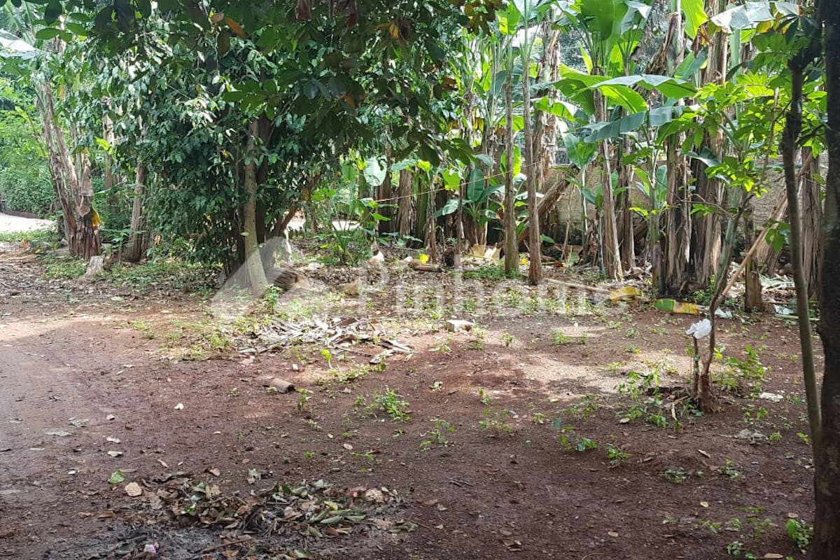 similar property dijual tanah residensial lokasi strategis di jln  nangka  kranggan - 3