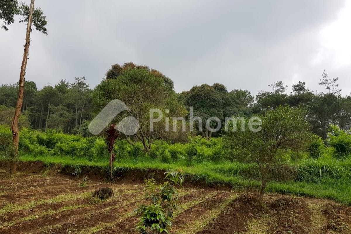 similar property dijual tanah komersial lokasi bagus di jl  kampung pojok lembang - 2