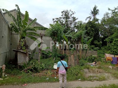 dijual tanah residensial lingkungan asri di jalan raya rajeg priuk mekar sari - 2