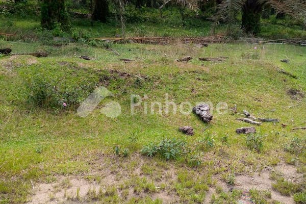 dijual tanah komersial 100000m2 di lintas barat pekan baru