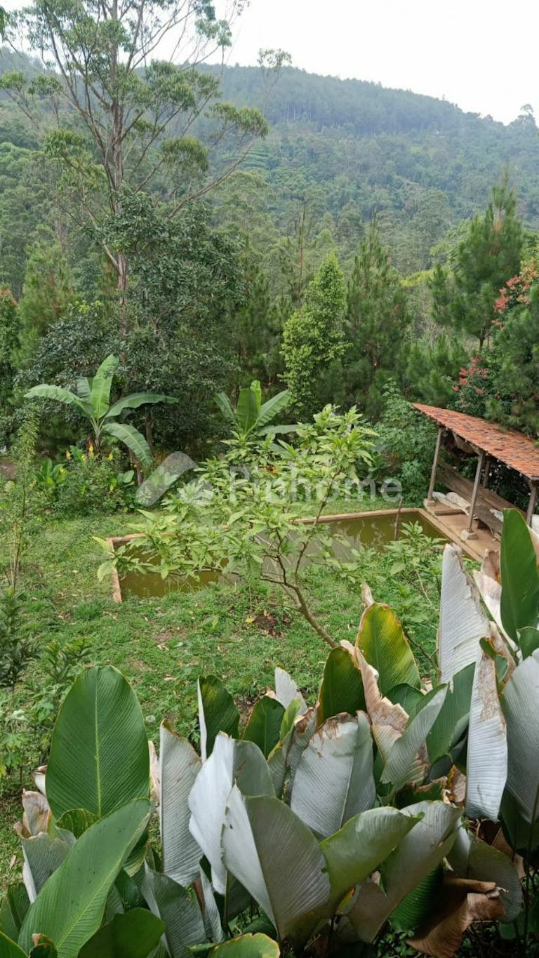 Dijual Tanah Komersial Kawasan Sejuk Cocok Untuk Villa di Ciwidey - Gambar 2