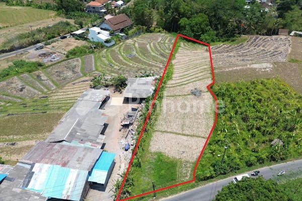 dijual tanah komersial 12 menit ke pantai canggu di kaba kaba - 3