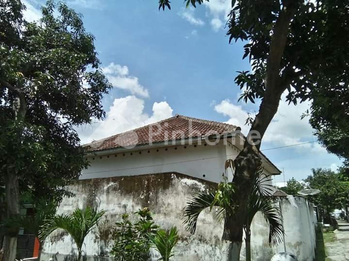 Dijual Tanah Komersial Sangat Cocok Untuk Investasi di Jalan Klabang Bondowoso Jawa Timur - Gambar 1